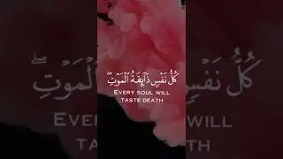 كيفيه تصميم ريلز قرآنية ببرنامج Filmora X