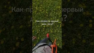 Ты с нами?  Подробности в комментариях #paragliding #параплан #travel #skydiving #mountains #top