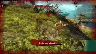 Guild Wars 2 Elementista