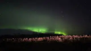 Aurora in Elk  Island National Park