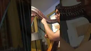 Intro to Lever Harp