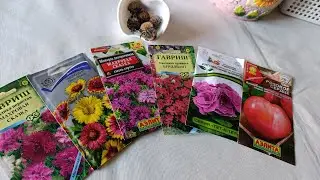 Купила семена многолетних цветов 🌸🌺🪷