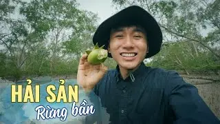 Bắt hải sản, chuột biển ở rừng bần Miền Tây |SEAFOOD in the largest mangrove forest in Vietnam