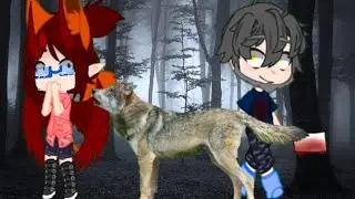 ~•|| лесник и волки 🐺🦊#гача #гачатуб ||•~