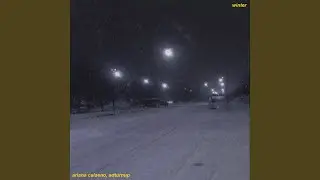 winter