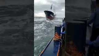 Это невероятно! На это можно смотреть вечно!