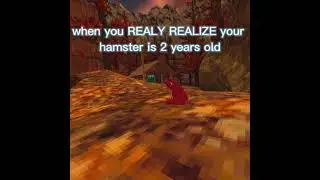 hamster meme
