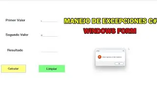 Manejo de Excepciones en C# Windows Form