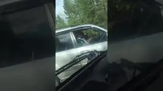 Вот такие борзые. Ведут себя как дома.