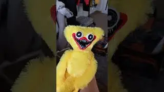 хаги упал