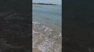 МЕДУЗЫ В МАРТЕ В ИЗРАИЛЕ