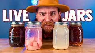 🔴 LIVE - In A Jar | DokaRyan