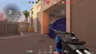 Yoru ace Guess the rank