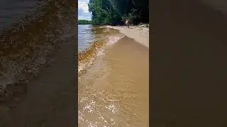 Боні відпочиває #dog #собака #пес