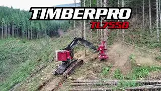TimberPro TL755D Feller Buncher Cutting in Oregon - Quadco 24b