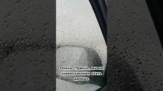 Мы боимся 🙀 ехать дальше, очень страшно 😦 #shortsvideo #узбекистан #Россия #рецепты #фрукты #pilav