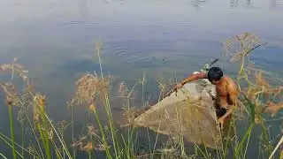 Pond Water Fish Catching , fish hiding in the mud #fishing  #vlogging #vlog