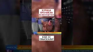 Курица проникла в пентагон