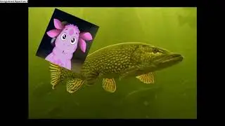 кто такая щука клюка: тайны лунтик