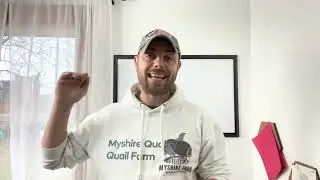 Why your quail have stopped laying and how to fix the issue!!!!!