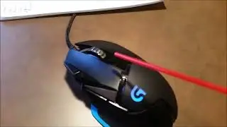 Mouse
