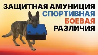 Защитная амуниция для подготовки собак. Спортивная. Боевая. Различия. Ammunition for service dogs.