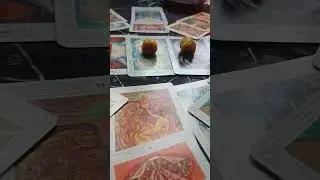 Расклад на год с отливками