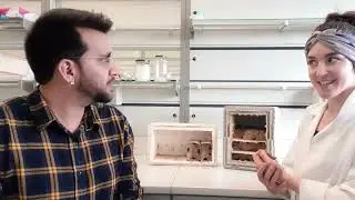 PoshBee PhD student interview: Sara Hellström (video by Palak Lakhani Official)