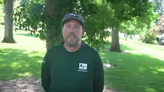 Emerald Ash Borer Community Update