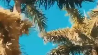 Xxxtentacion ( R.I.P ) 😞