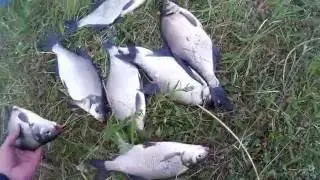 Большой Сунукуль