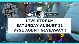 Free VYSE Giveaway!  Saturday August 31.  Ascendant Rank.  Most Calm Sage Main.