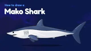 How to draw a sea animal - Mako Shark? Easy and simple drawing | Animal character design tutorial