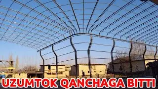 UYLAR UCHUN UZUMTOK ZINA RESHOTKA VA KOZEROG QILDIRISH NECHA PULGA TUSHISHINI ALBATTA KOʻRING