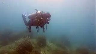 Poseidon Dive Center Diving in Taganga