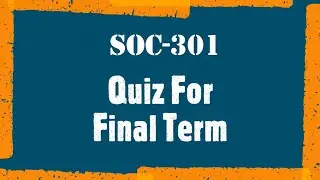 SOC301 Social Work Quiz For Final Term