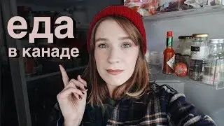 Сколько стоит жизнь в Канаде? Цены на еду в Канаде 2021 🇨🇦