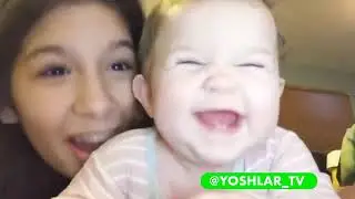 Prikol videolar 2020