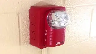 Everywhere I look...