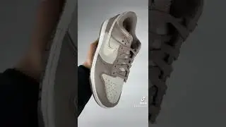 moon fossil dunk low