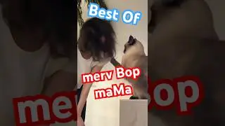 COMPILATION OF MERV ATTACC MA MA 🤣 