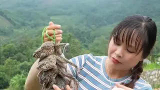 Village Girls Harvesting & Find Frog Goes to Market Sell | Frog Hunting