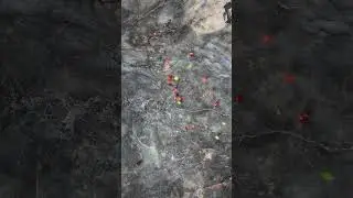 Яркий выбор плитки 🙂👌