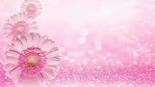 background video with music