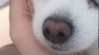 [잼공 브이로그] 메리 까만코 만들기