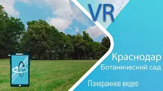 Ботанический сад в Краснодаре им. И. Косенко. Relax (immersive video)