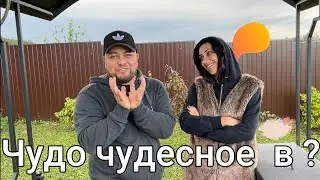 Чудо чудесное в саду//Вернулись из Белгорода в Москву