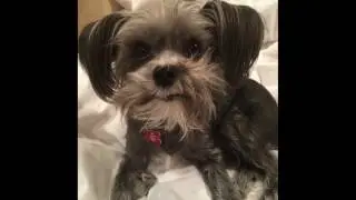 Jake Weighs In