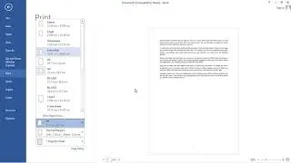 MS WORD 2