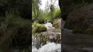 Этот чудесный мир ...